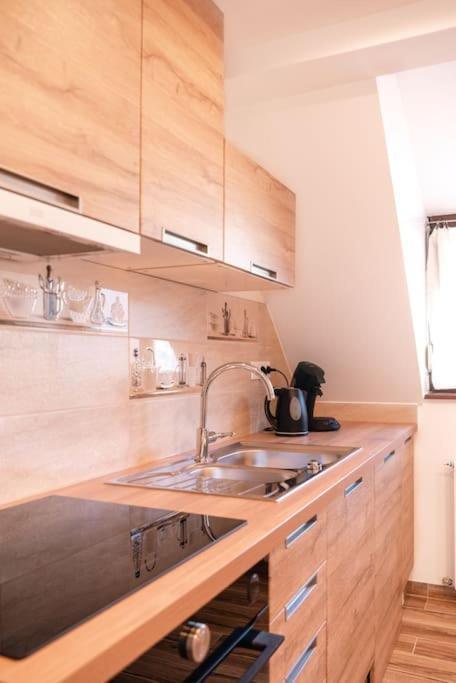 L'Escapade Citadine Leilighet Bischheim Eksteriør bilde